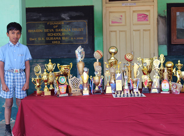 Bagini Seva Samaja - Achievements  Banner